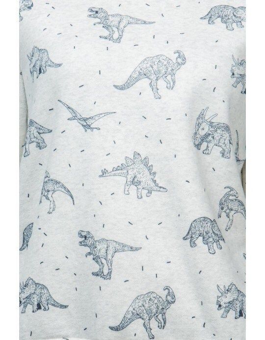 Dinosaur Print Sweatshirt