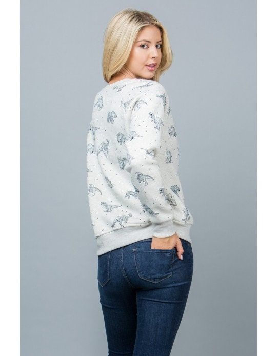 Dinosaur Print Sweatshirt
