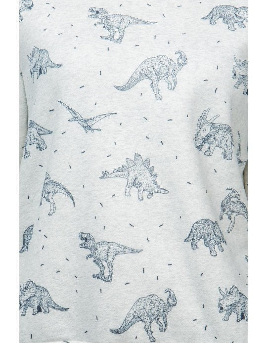 Dinosaur Sweatshirt: Soft Fleece Crewneck - Animal Lover Gift