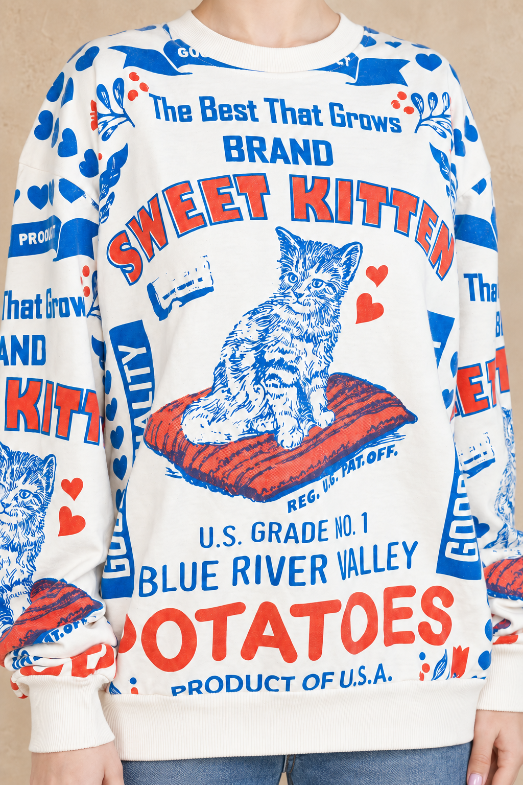 Sweet kitten cotton sweatshirt print close-up