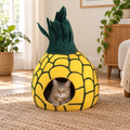 Pineapple felt cat cave with cat inside