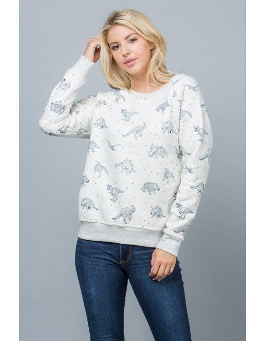 Dinosaur Print Sweatshirt